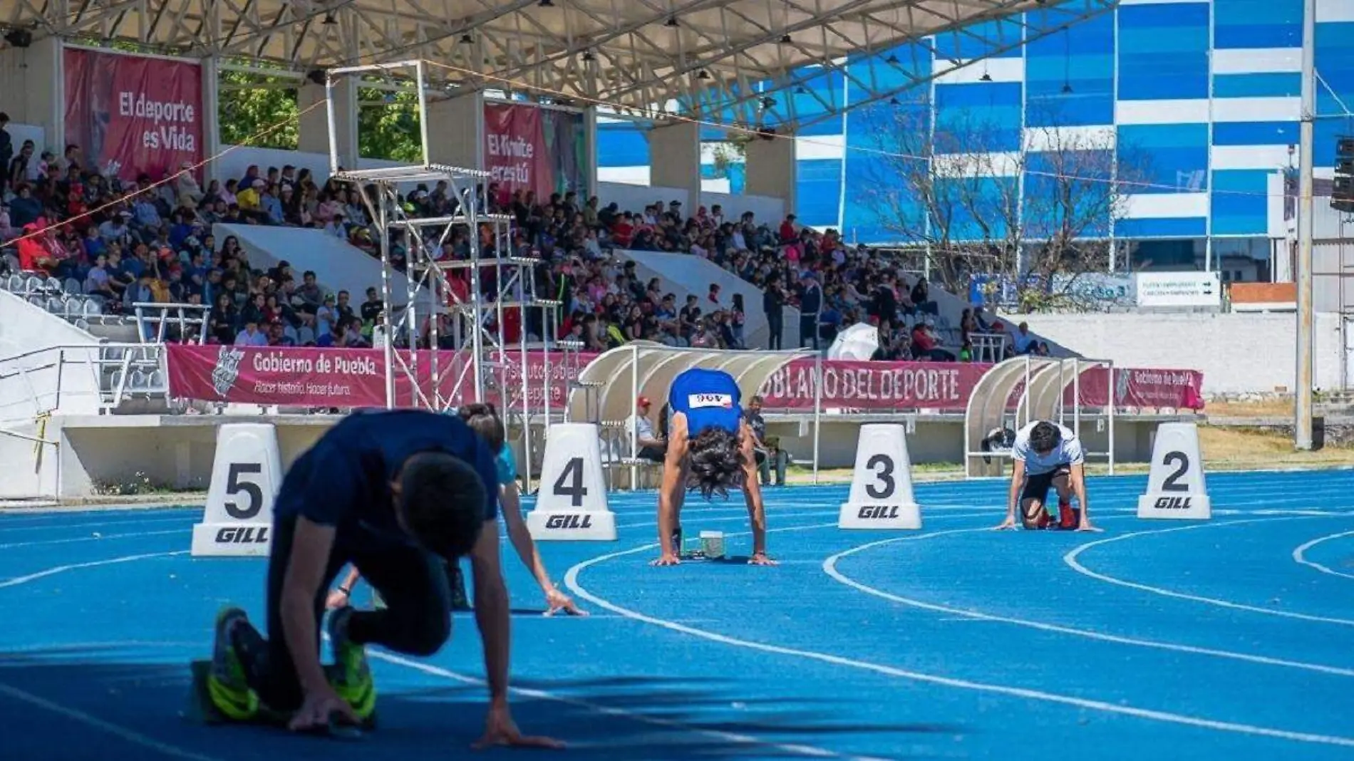 unidad deportiva mvr